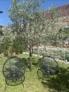 El jardín de las piedras - 7