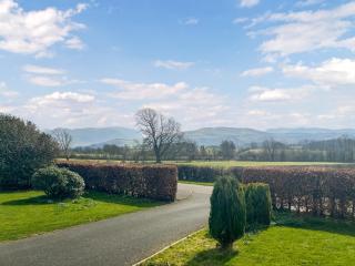 Violet Bank - 9