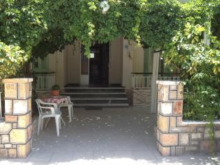 Mitrou Vasiliki Studios - Loutra Edipsou - 4