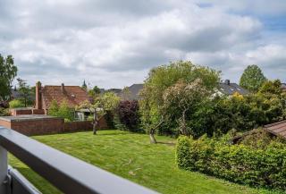 Birke-Die-Charmante - 1