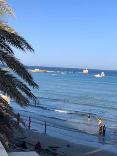 دولفين هاوس - Dolphin House - 9