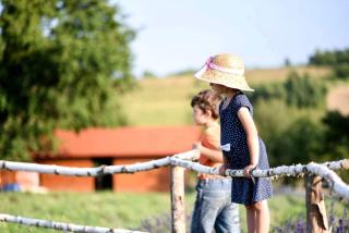 Idyllic Family Getaway on a Working Farm in Transylvania, Romania - 9