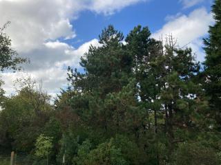 Logies Villa Zilt - 3
