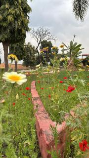 GardenView Hotel and Resort - 0