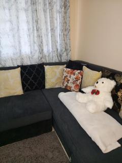 Petra homes - 1