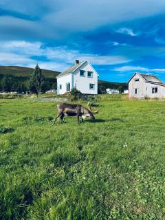 Central and rural house with beautiful view - 0