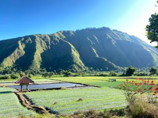 Pondok Arum Rinjani - 8