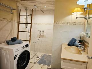 Rare : au bord du lac d’Annecy, cosy appartement en rez de jardin avec terrasse privative - 1