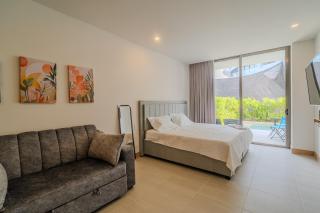 Apartaestudio nuevo con jacuzzi privado - 9
