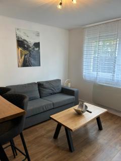 La maisonette,Thionville-centre - 1