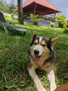 Cabañas Hiraphet - 9