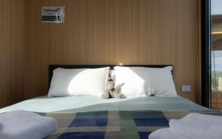 Bruce Farm Alpaca Cabin 2 by Tiny Away - Balclutha - 3
