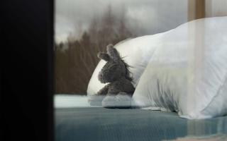 Bruce Farm Alpaca Cabin 2 by Tiny Away - Balclutha - 7