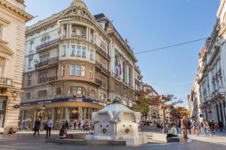Downtown Hiden Gem - 5