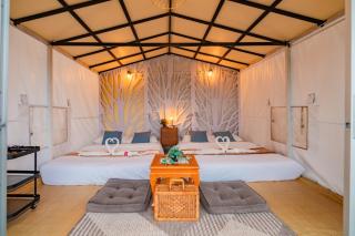 ไร่อมรพญา ม่อนแจ่ม เชียงใหม่ - 1