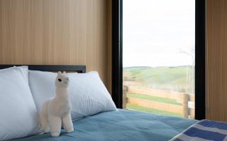 Bruce Farm Alpaca Cabin 3 by Tiny Away - 2