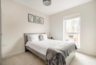 Luxury Double Room in High Trees - 0