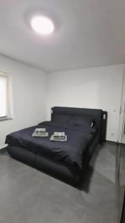 Luxury Apartment - 4