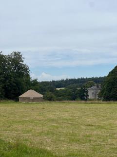 Chestnut - Yurt - 0