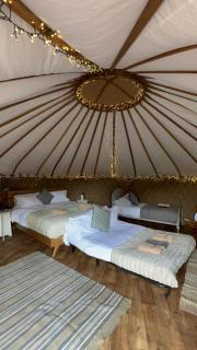 Chestnut - Yurt - 1