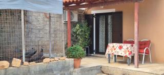 FarmHouse near Airport - 7