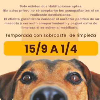 Habitaciones La Cuevona de Guitiriz,Parga, en el camino norte Lugo - 6