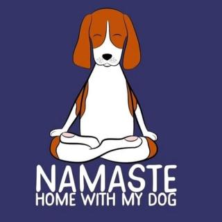 Villa Namasté SPA Hammam port & Mer - 9