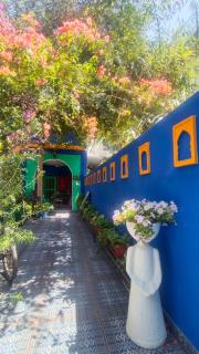 The Coral Tree Boutique Homestay - Agra - 9