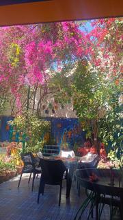 The Coral Tree Boutique Homestay - Agra - 7