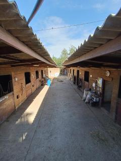 Logement dans un centre équestre - 5