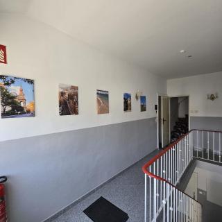 Freundliches Privatzimmer mit Gemeinschaftsküche und Gemeinschaftsbad - 1