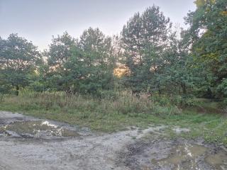 LeoLand - miejsce na namiot - Zero Udogodnień - 3