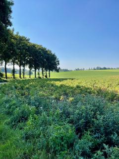 HuisXI - 3