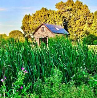 Cedar Barn - 9