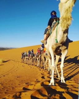 Gnaoua Luxury Camp - 4