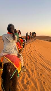 Gnaoua Luxury Camp - 2