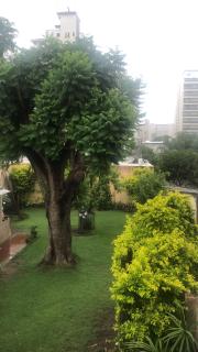 Conoce Santiago a pie - 1