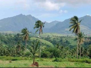 Serene Stay Balcony Ricefield - 0