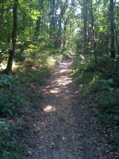 Dépendance de 30 mètres carrés plafond cathédrale - 4