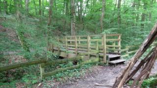 Dépendance de 30 mètres carrés plafond cathédrale - 6