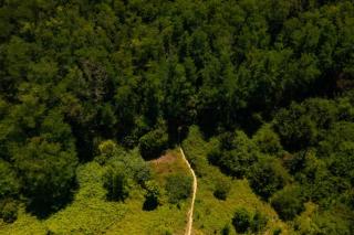Dépendance de 30 mètres carrés plafond cathédrale - 7