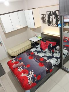COZY Studio Superior - 0