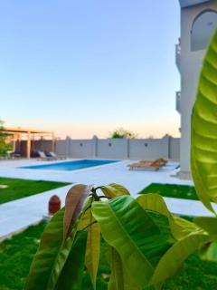 Magic Garden Guest House - Luxor - 6