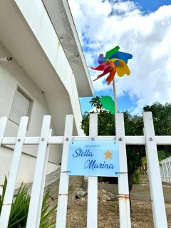 Stella marina - 3