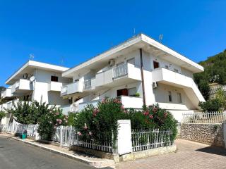 Stella marina - 2