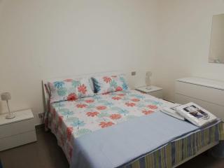 Stella marina - 1