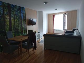 AiM apartman Bjelasnica - 8