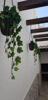 Casa Bonaire - 7