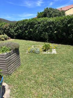 Appartement Elba - 3