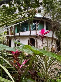 Casa caracol Macario - 6